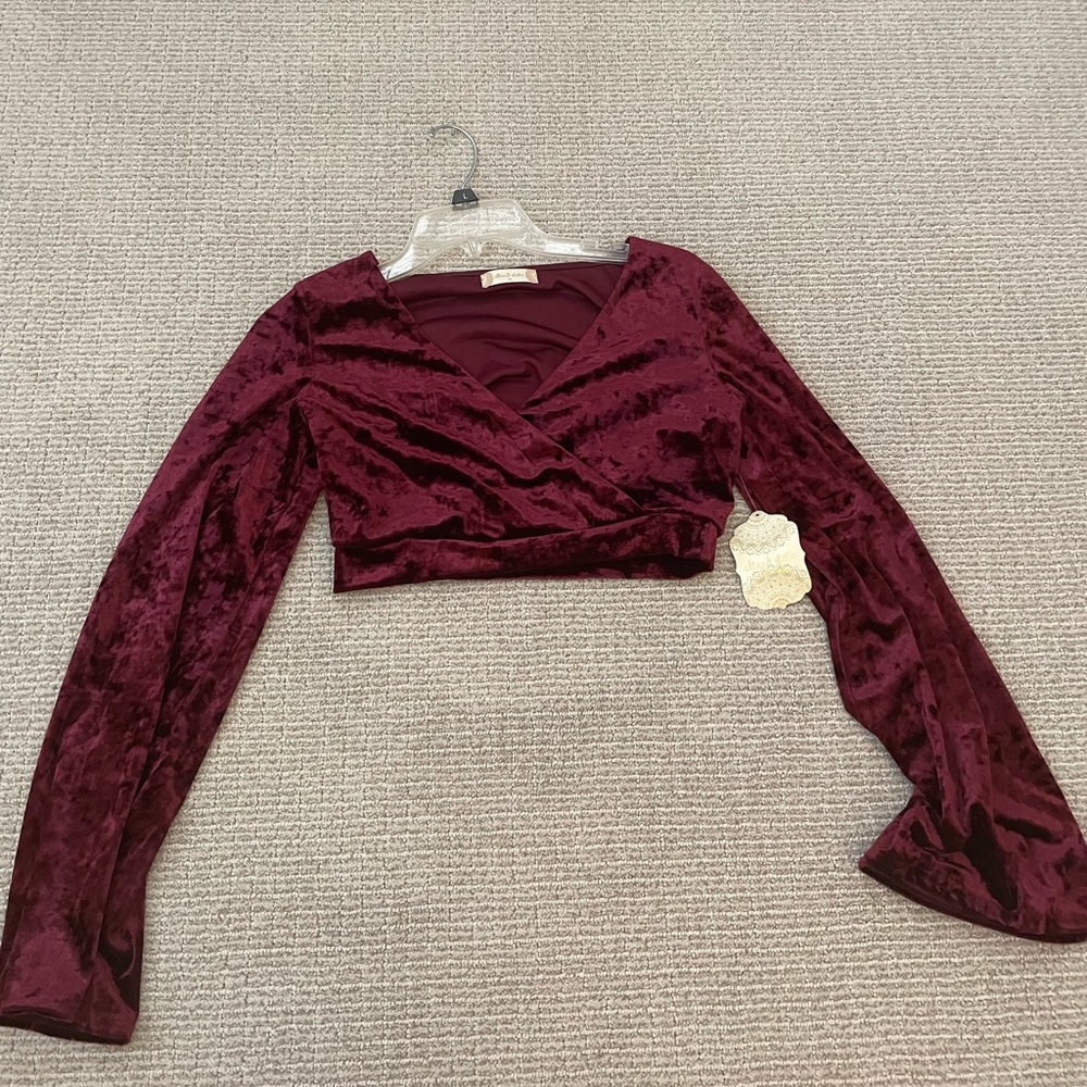 NWT altar’d state cropped velvet top